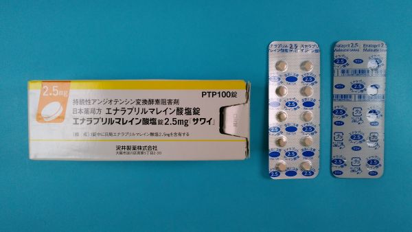 生合成エナラプリルマレイン酸塩リーフレット