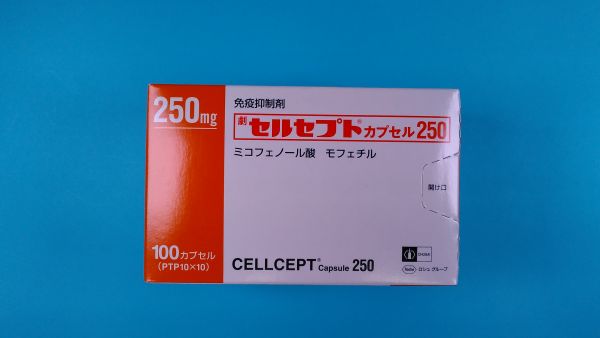 セルセプトカプセル250｜メディカルお薬.com【中央メディカルシステム株式会社】