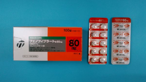 フェノフィブラート ノヴァ キミカ リーフレット