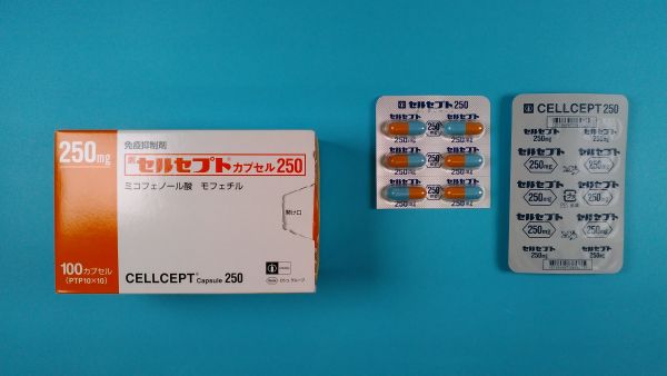 セルセプトカプセル250｜メディカルお薬.com【中央メディカルシステム株式会社】