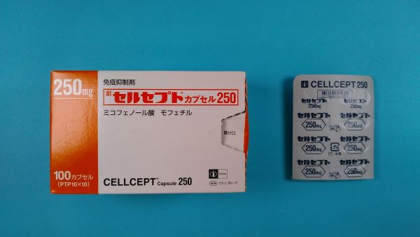 セルセプトカプセル250｜メディカルお薬.com【中央メディカルシステム株式会社】