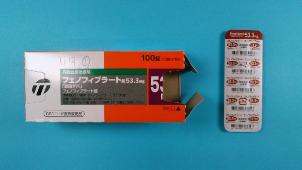 フェノフィブラート ノヴァ キミカ リーフレット