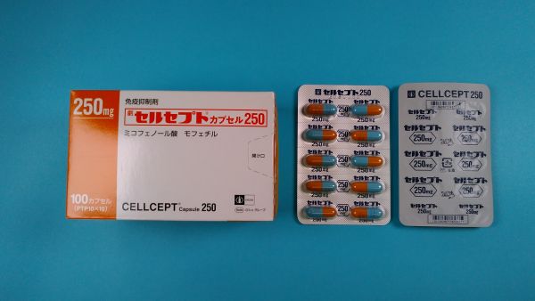 セルセプトカプセル250｜メディカルお薬.com【中央メディカルシステム株式会社】