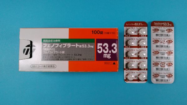 フェノフィブラート FURP リーフレット