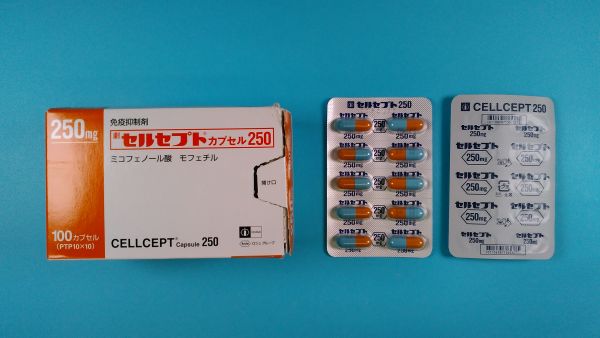 セルセプトカプセル250｜メディカルお薬.com【中央メディカルシステム株式会社】