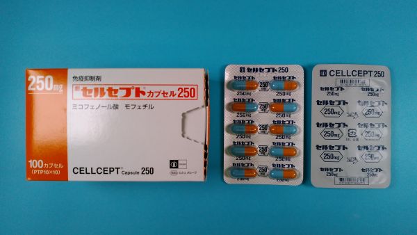 セルセプトカプセル250｜メディカルお薬.com【中央メディカルシステム株式会社】
