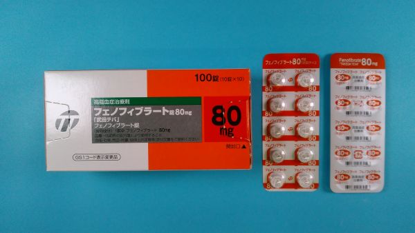 フェノフィブラート ノヴァ キミカ リーフレット