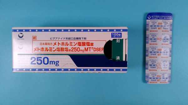 メトホルミン塩酸塩マルチラボリーフレット