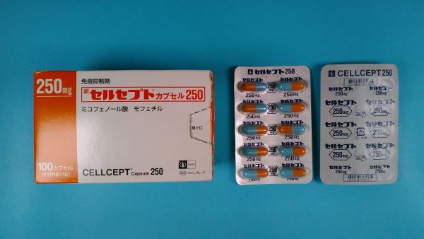 セルセプトカプセル250｜メディカルお薬.com【中央メディカルシステム株式会社】