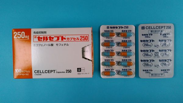 セルセプトカプセル250｜メディカルお薬.com【中央メディカルシステム株式会社】