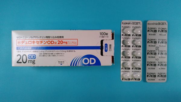 塩酸デュロキセチン リーフレット 胚芽製薬