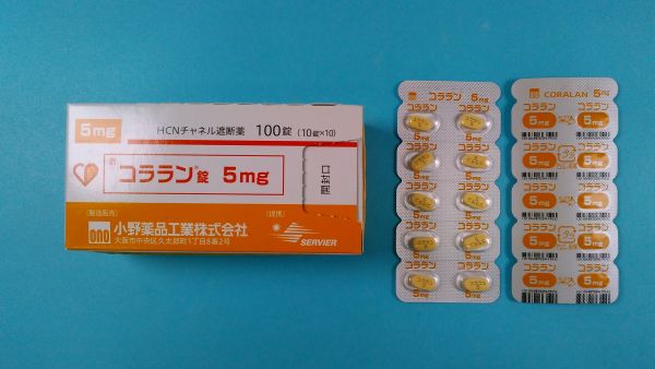 ロイケランのリーフレット