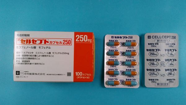 セルセプトカプセル250｜メディカルお薬.com【中央メディカルシステム株式会社】