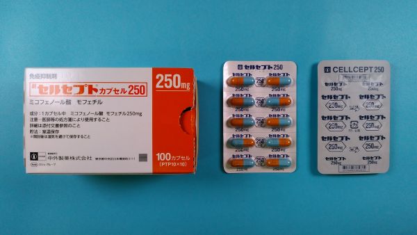 セルセプトカプセル250｜メディカルお薬.com【中央メディカルシステム株式会社】