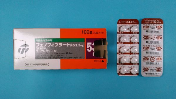 フェノフィブラート FURP リーフレット