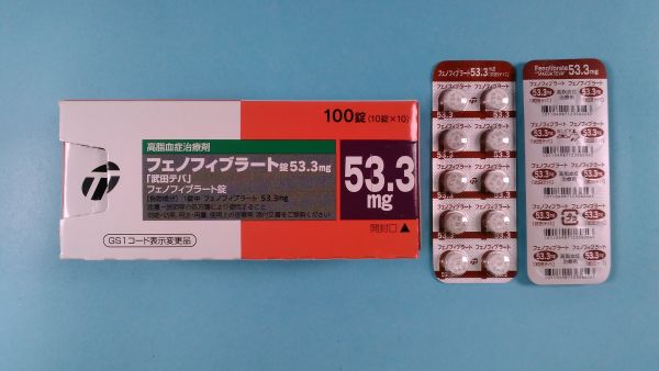 フェノフィブラート ルグラン リーフレット