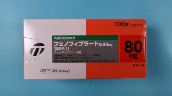 フェノフィブラート FURP リーフレット