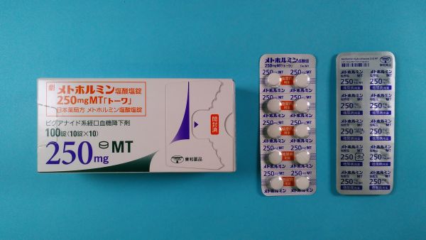  Brainfarma メトホルミン塩酸塩リーフレット