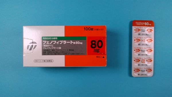 フェノフィブラート ノヴァ キミカ リーフレット