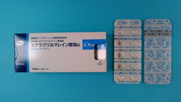 生合成エナラプリルマレイン酸塩リーフレット