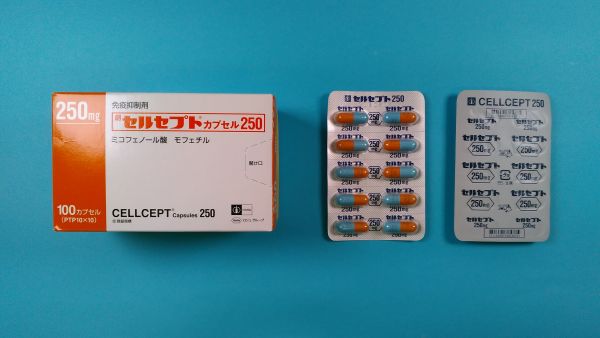 セルセプトカプセル250｜メディカルお薬.com【中央メディカルシステム株式会社】