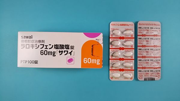 ラロキシフェン塩酸塩ブランベールのリーフレット