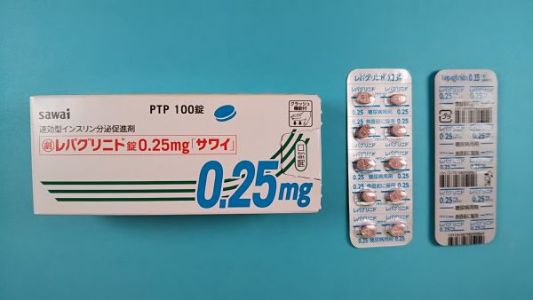 レボジン錠のリーフレット