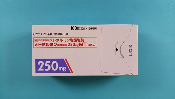 メトホルミン塩酸塩リーフレット Aurobindo Pharma
