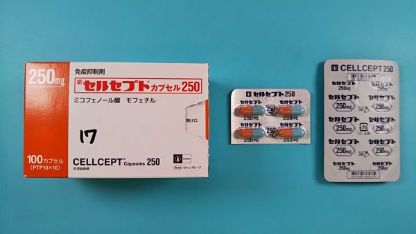 セルセプトカプセル250｜メディカルお薬.com【中央メディカルシステム株式会社】