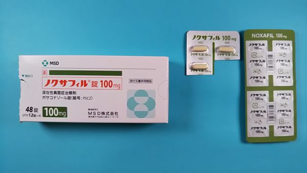 ノクサフィルのリーフレット