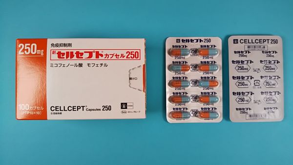 セルセプトカプセル250｜メディカルお薬.com【中央メディカルシステム株式会社】