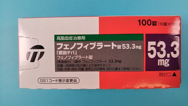 フェノフィブラート ルグラン リーフレット