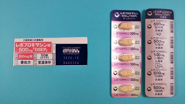 レボフロキサシン テウト リーフレット