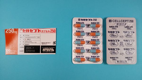 セルセプトカプセル250｜メディカルお薬.com【中央メディカルシステム株式会社】