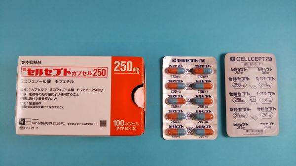 セルセプトカプセル250｜メディカルお薬.com【中央メディカルシステム株式会社】