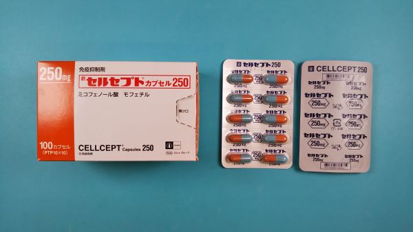 セルセプトカプセル250｜メディカルお薬.com【中央メディカルシステム株式会社】