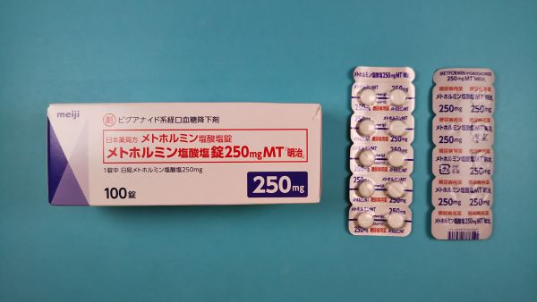 メトホルミン塩酸塩ブル・プラティ・ドナドゥッツィ