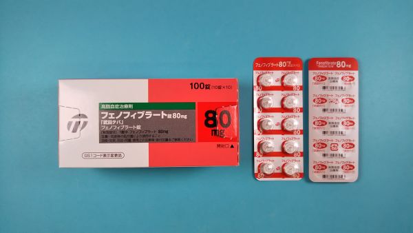 フェノフィブラート ルグラン リーフレット