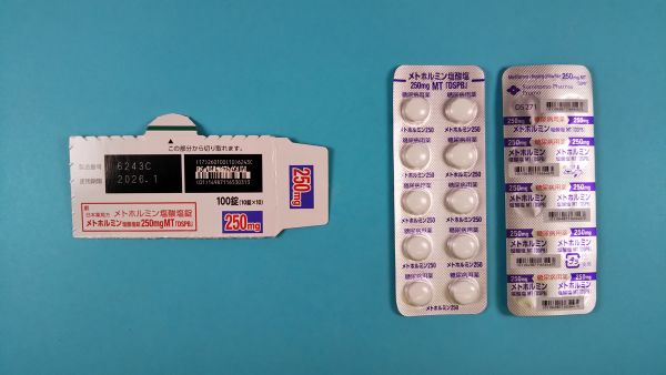 メトホルミン塩酸塩リーフレット Aurobindo Pharma