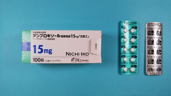 アンブロキソール塩酸塩ヒポレイバーのリーフレット