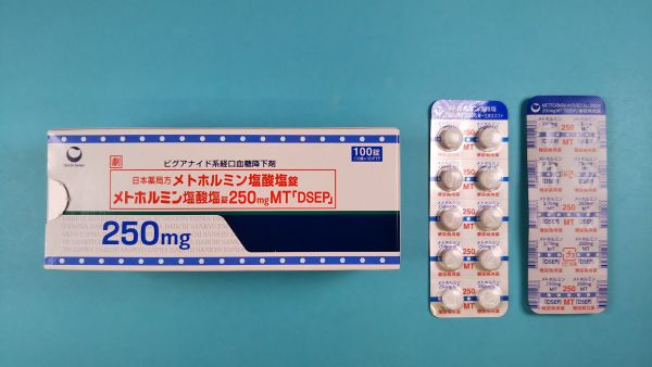 メトホルミン塩酸塩マルチラボリーフレット