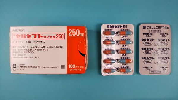 セルセプトカプセル250｜メディカルお薬.com【中央メディカルシステム株式会社】