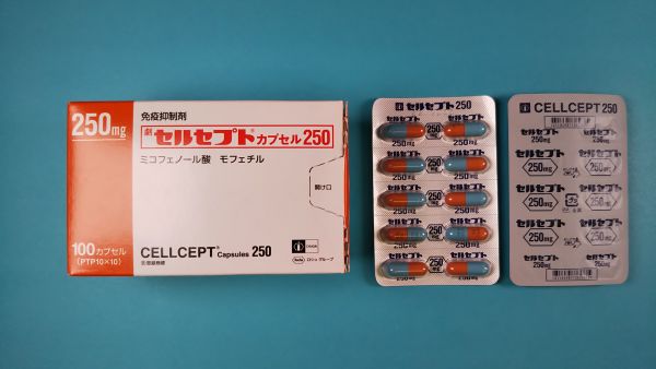 セルセプトカプセル250｜メディカルお薬.com【中央メディカルシステム株式会社】