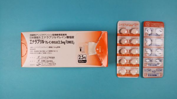 エナラプリルマレイン酸塩ヒドロクロロチアジドルグランのリーフレット