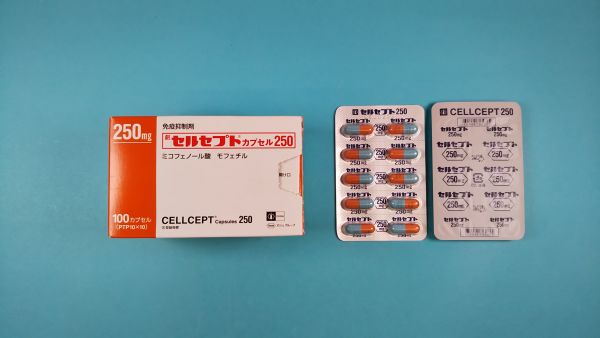 セルセプトカプセル250｜メディカルお薬.com【中央メディカルシステム株式会社】
