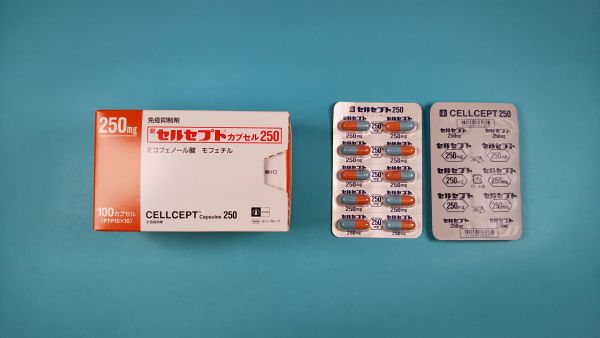 セルセプトカプセル250｜メディカルお薬.com【中央メディカルシステム株式会社】