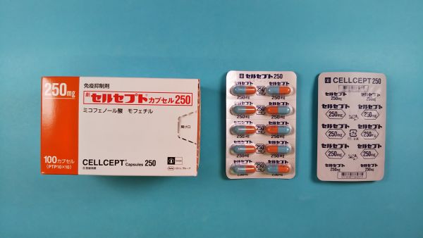 セルセプトカプセル250｜メディカルお薬.com【中央メディカルシステム株式会社】