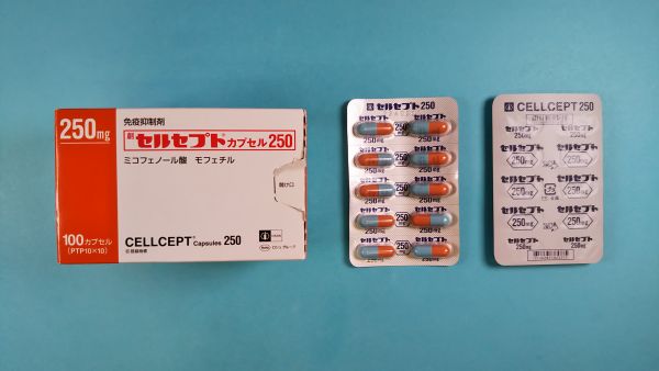 セルセプトカプセル250｜メディカルお薬.com【中央メディカルシステム株式会社】