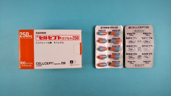 セルセプトカプセル250｜メディカルお薬.com【中央メディカルシステム株式会社】