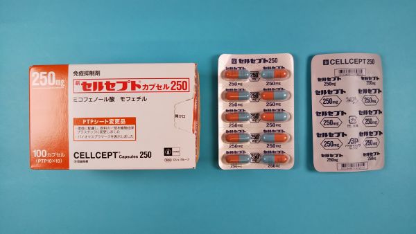 セルセプトカプセル250｜メディカルお薬.com【中央メディカルシステム株式会社】
